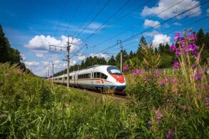 Билеты на поезд Сапсан Санкт-Петербург - Москва