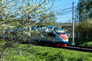 Билеты Москва - Санкт-Петербург на поезд Сапсан по низкой цене